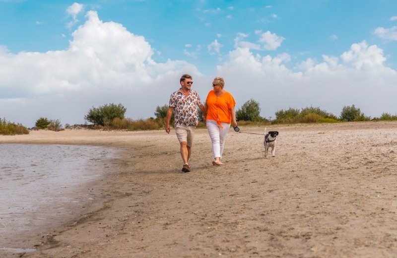 Im Urlaub mit Ihrem Hund