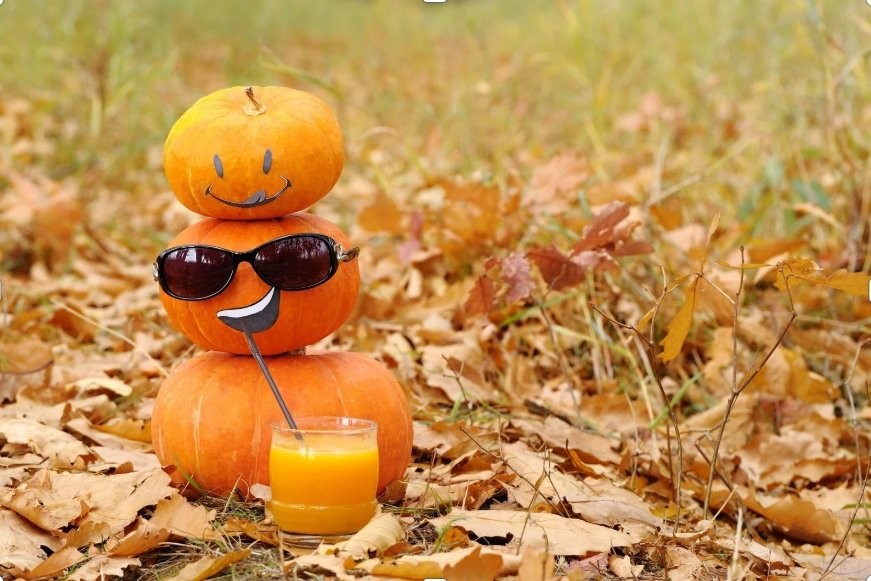 Halloween im Ferienpark IJsselhof