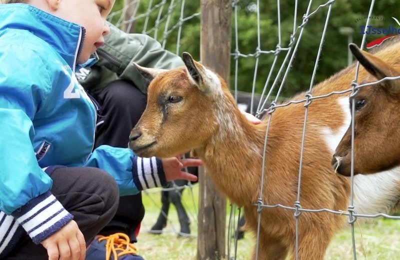 Ijsselhof kinderboerderij streichelzoo