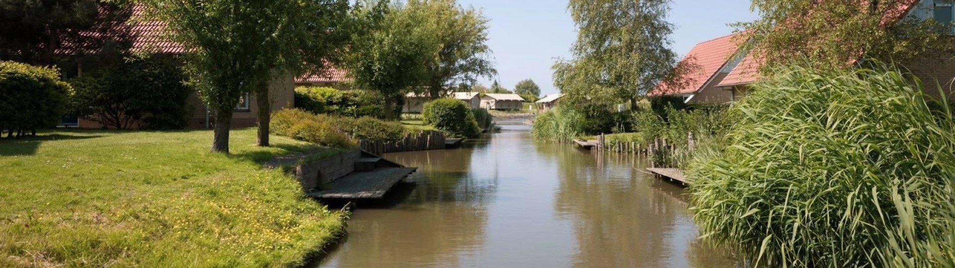 Vissen ijsselmeer water